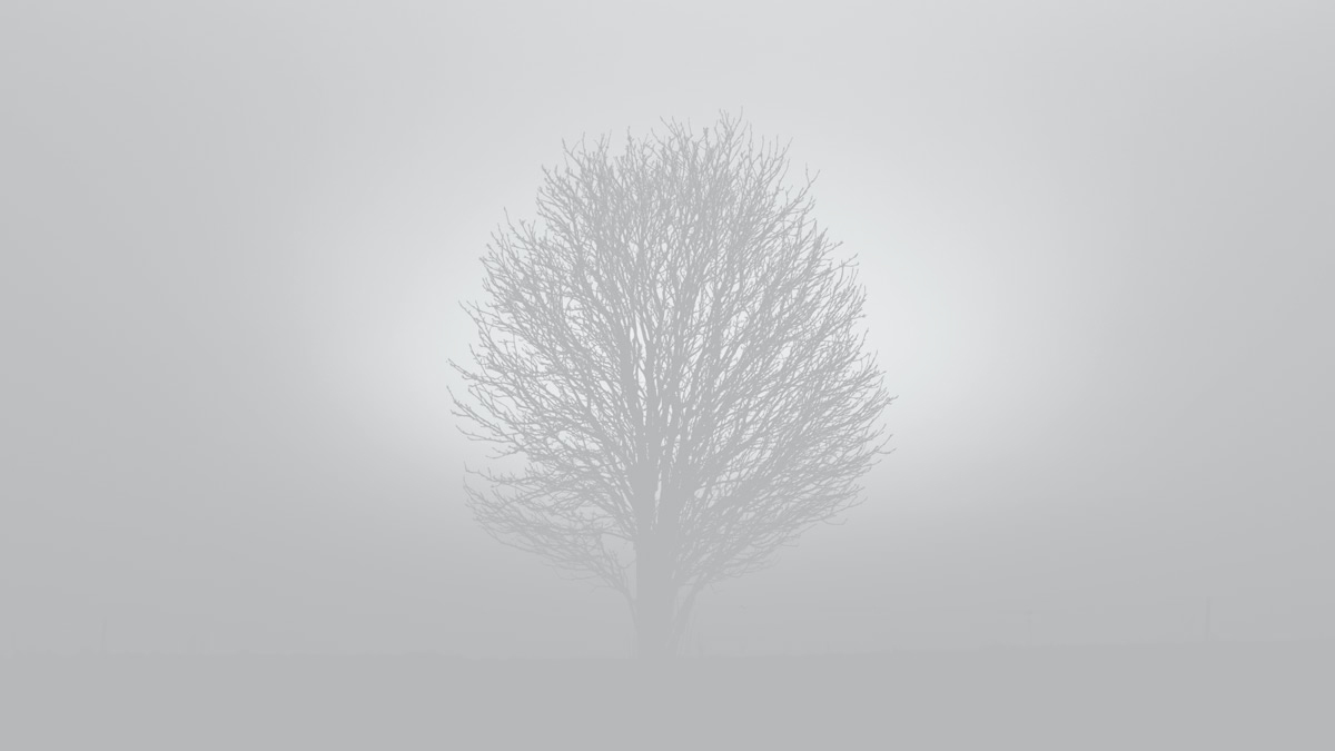 Divination Journey